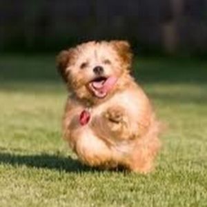 Meet your Posher, Hanna